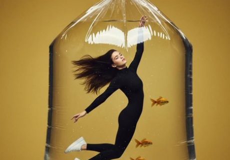 vmv3w6zipa_1765870890399